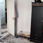 01419f3c-6437-426f-9694-edacecb31f79