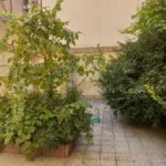 022531c5-95a7-4590-9cc6-a5978d5f73ef