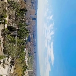 1dea4c39-07c6-444a-929f-2d1722cec2dd