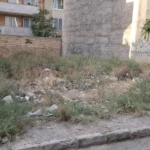 2164e376-5556-4e3e-b276-08b12f4ec656