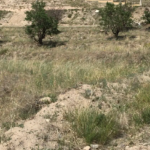 23b859c3-749f-47e9-9f25-ff4a924e8544