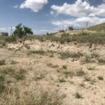 25a26cfc-308c-450e-b89b-56d2dc7f5ca5