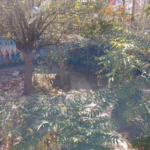 30c44b20-08f8-40d6-b505-acd8e981fbb3