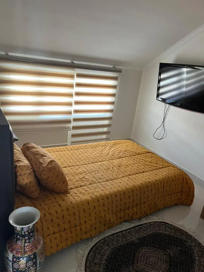 37ba309a-a2c9-41b4-852c-f72125a6c5a5