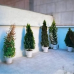 4a4fa260-b36b-4f2c-81fc-e1df3a438a9c