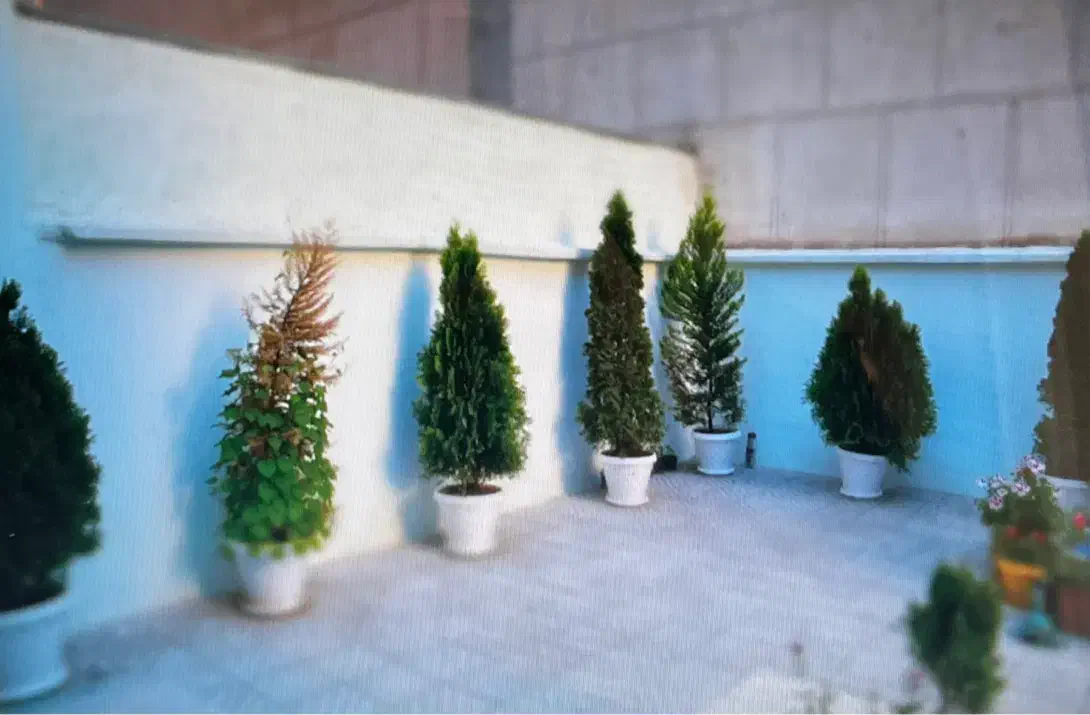 4a4fa260-b36b-4f2c-81fc-e1df3a438a9c