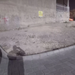 51feda30-f308-414d-adc0-e08b472e4bfc