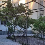 5805578e-a926-435e-b55d-c7d2f40f442d