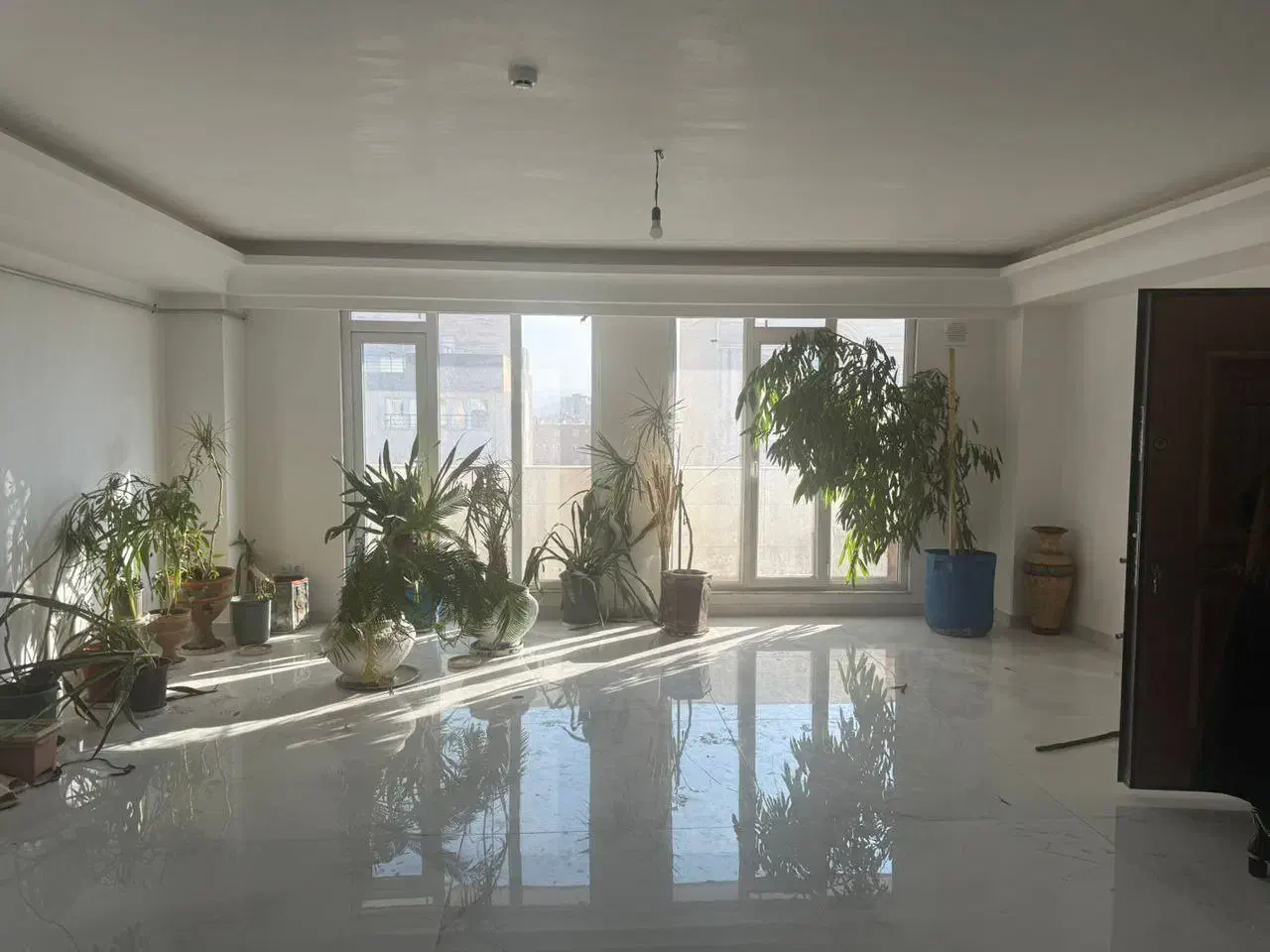 65f271a1-719e-452c-bc73-efe3c646aa0a