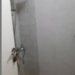 6b9c0e84-885d-481c-9999-5cba2eadc02a