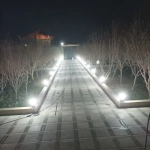 7471a00f-18b8-47cb-bf70-f084aa8088bd