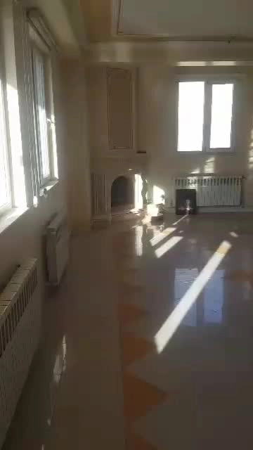 75d030f1-af32-47a7-993c-75d03b79faf0-1