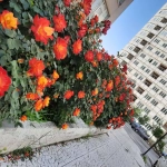 79e254fa-f004-431f-aaf1-08d5bb32f046