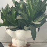 7bdbfeb2-db6d-40a3-b7b4-d6c3b4457fbd