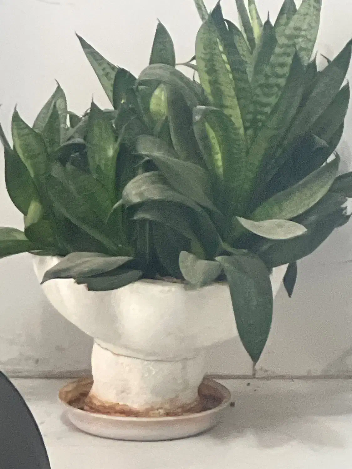 7bdbfeb2-db6d-40a3-b7b4-d6c3b4457fbd