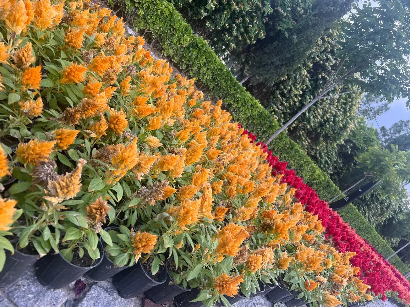 83553045-aedd-4647-a174-2797208dc19a