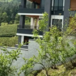 8a0a8f3d-2424-442b-8f5a-ae6963ec8018