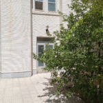 8c6d9a63-4c7e-484b-a92a-0e4e1344986d