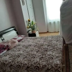 8f355571-b8db-4042-a4ad-21404156d93d