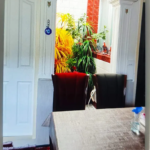 9bc06e09-4e76-4aa3-b817-99ae94759673