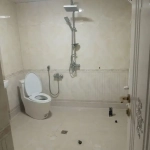 9e8ae72f-9758-4ad1-88df-68882cfcb193