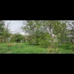 Screenshot_۲۰۲۵۰۹۰۴-۰۰۵۲۱۹_Gallery