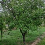 Screenshot_۲۰۲۵۰۹۰۴-۰۰۵۲۲۴_Gallery