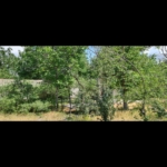 Screenshot_۲۰۲۵۰۹۰۴-۰۰۵۲۳۰_Gallery