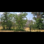 Screenshot_۲۰۲۵۰۹۰۴-۰۰۵۲۳۲_Gallery