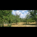 Screenshot_۲۰۲۵۰۹۰۴-۰۰۵۲۳۴_Gallery