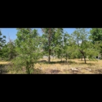 Screenshot_۲۰۲۵۰۹۰۴-۰۰۵۲۳۸_Gallery