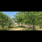 Screenshot_۲۰۲۵۰۹۰۴-۰۰۵۲۴۱_Gallery