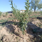 ac6d4537-e16d-462f-896f-bc9e53a42ca4