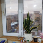 b1cd1128-1644-4fab-9878-adf01e22a776