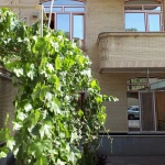 c7cec491-3b4a-4446-ab5f-337620caffe4