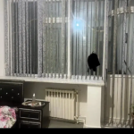 c95a2463-4ec4-488d-92f6-297469224f70