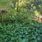 d9e78b62-119c-431c-88f5-18f47339df46