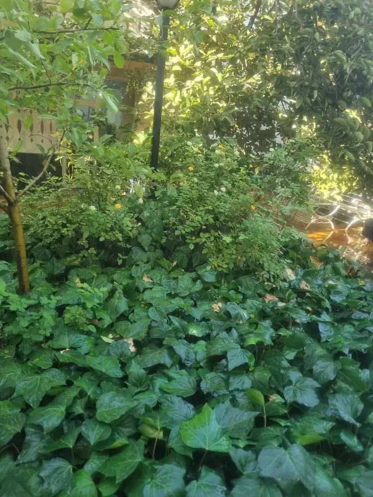 d9e78b62-119c-431c-88f5-18f47339df46