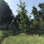 def6e88b-1e8b-48df-b301-d194ee041a05