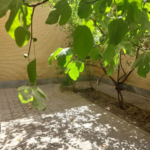 e6bb17fb-c7ca-4bfa-8035-e9ca21fde140