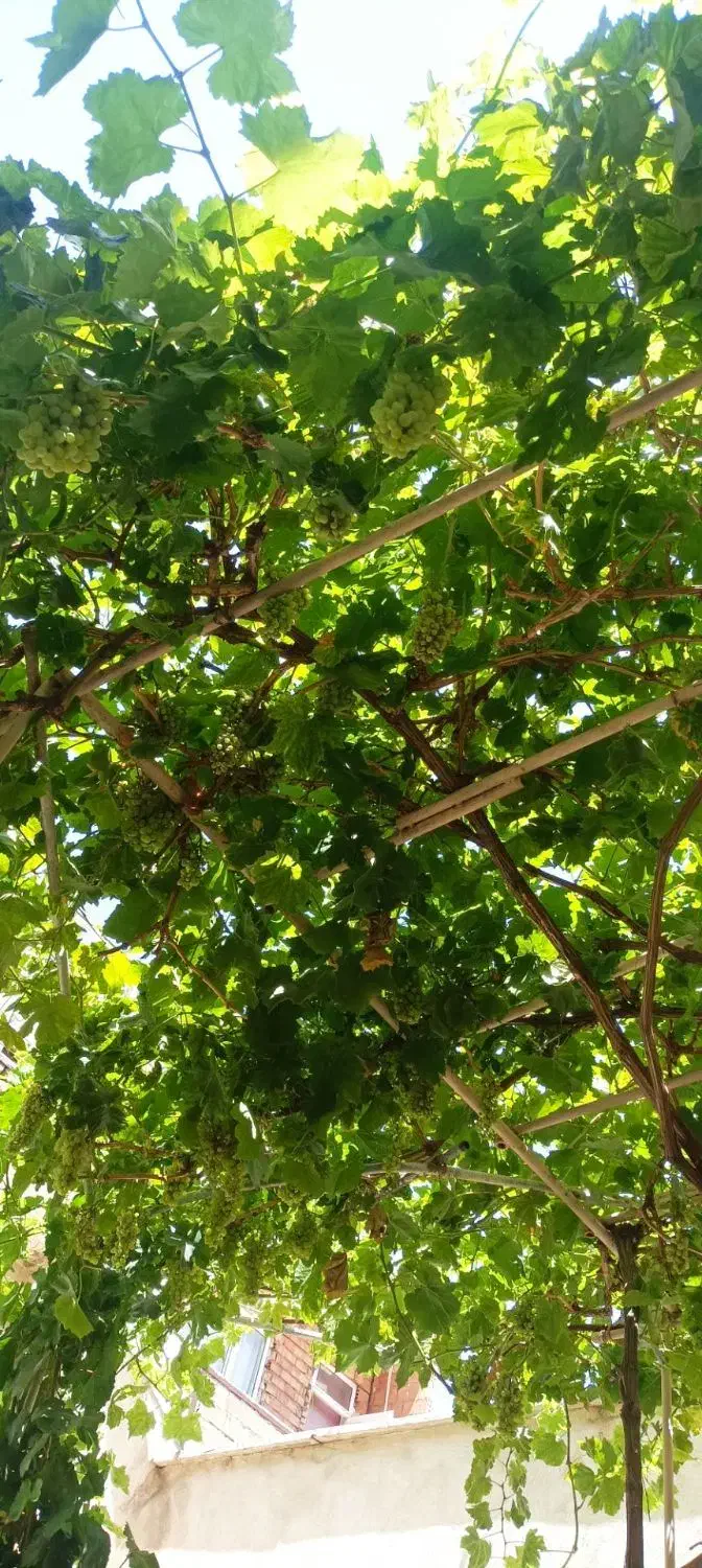 f0e9100a-5f97-4214-9d22-1c296d42fe43