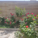 f2f0328f-9653-4133-812b-91b9aaac0b2e