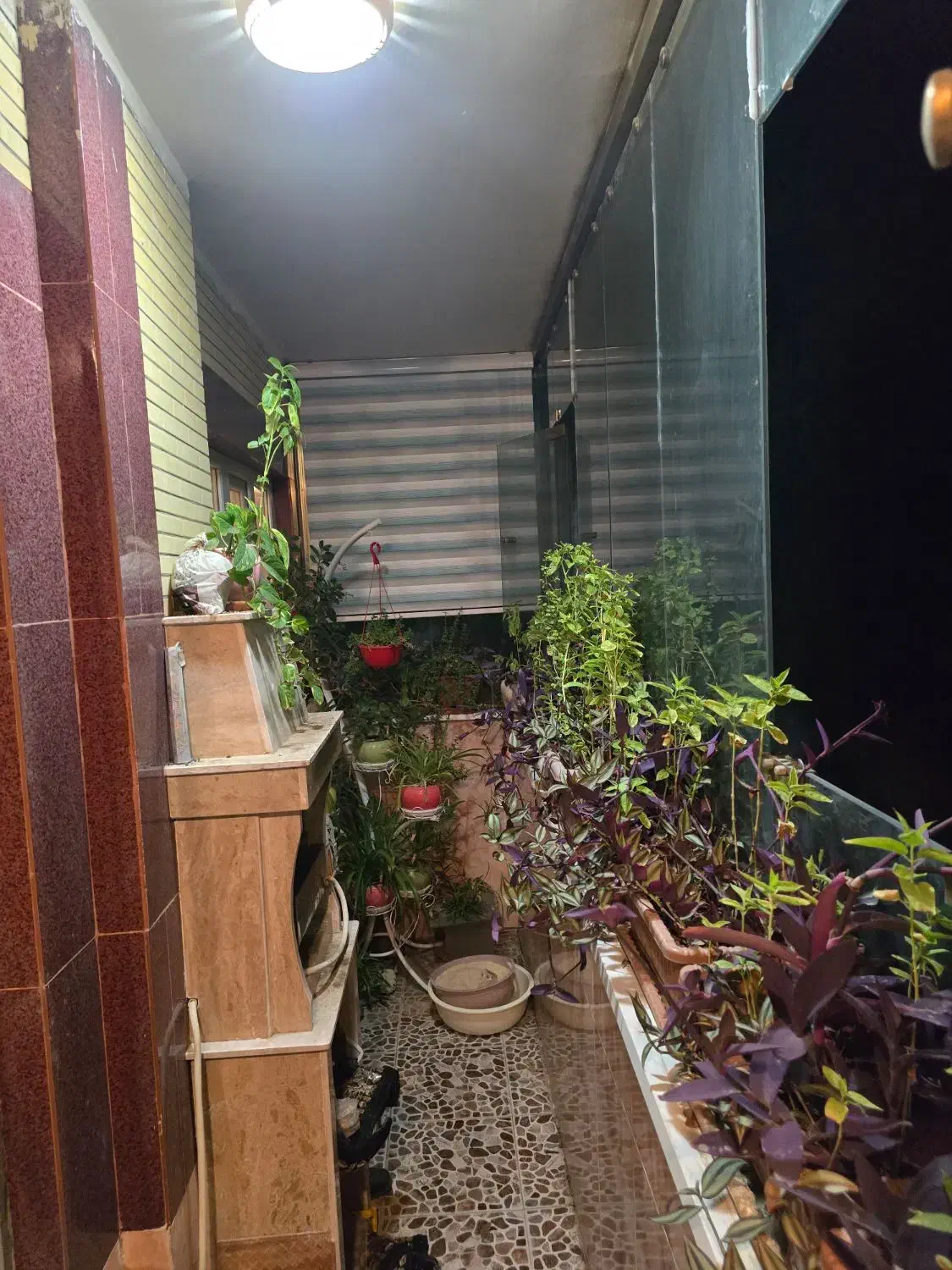 f5555afb-2c86-477e-9405-c643f3f8d812