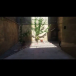 fbd94c83-72a0-41a7-a521-1e923da5fde2